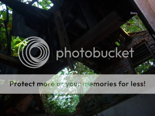 nov01-2009020.jpg