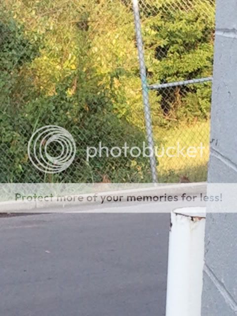 2012-07-03070715.jpg