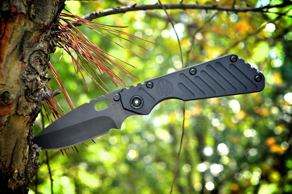 Strider2_zpse08d3d90.jpg