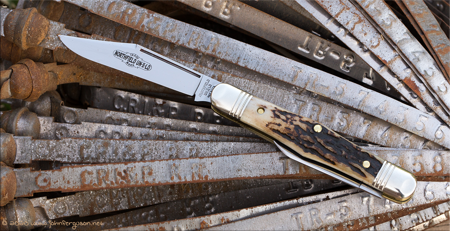 GEC33stag-1.jpg