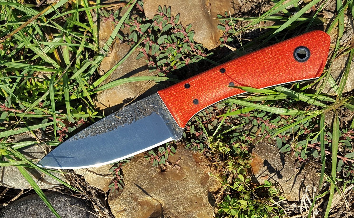 Skark%20Rocks%20sm.jpg