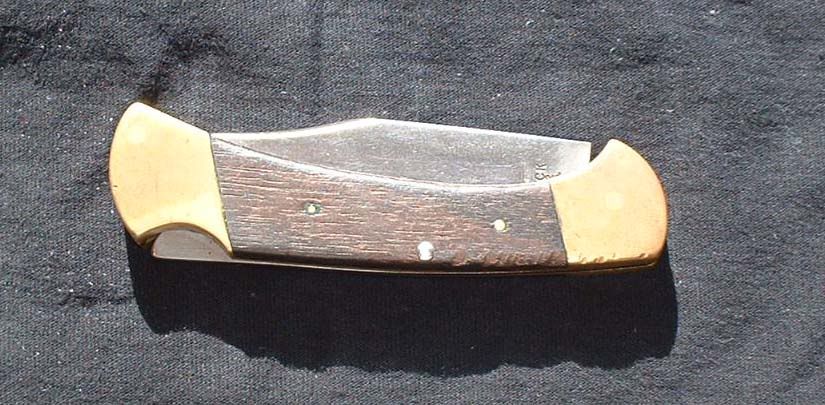 buck01.jpg