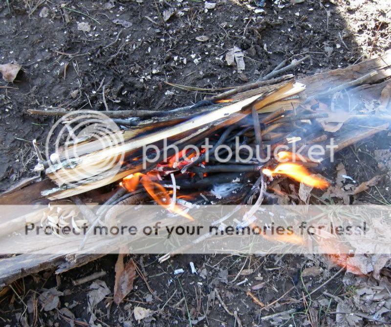 IMG_1363.jpg