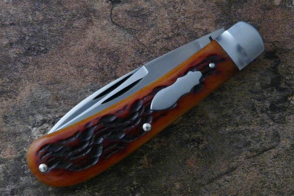 WT1.jpg