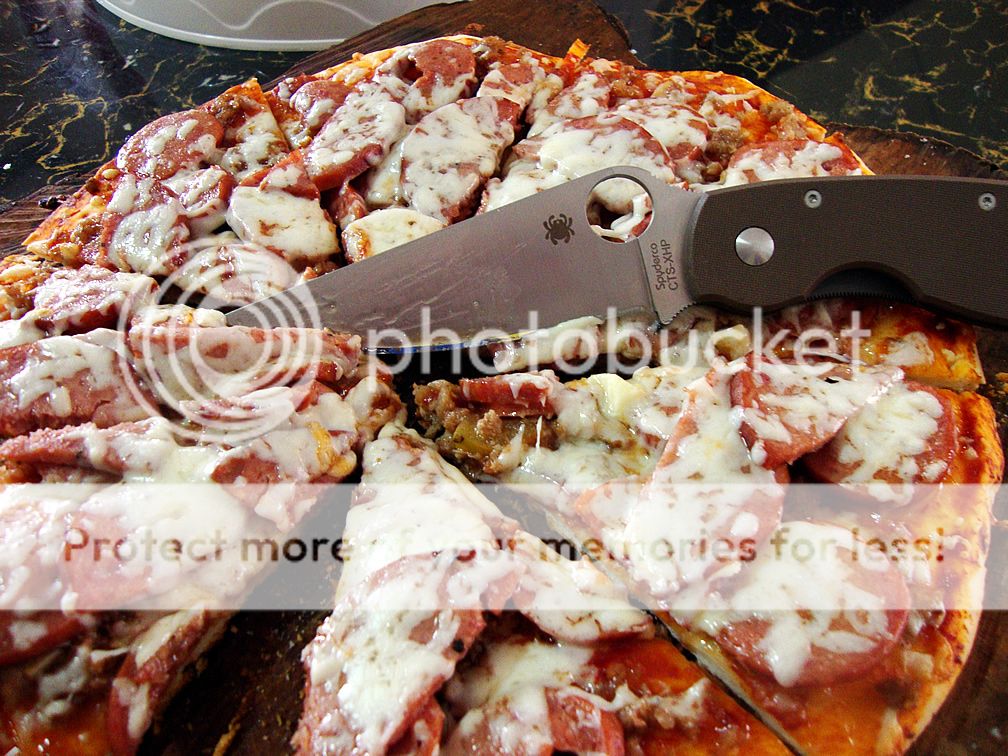 PizzaSpydie_zps26ba4215.jpg