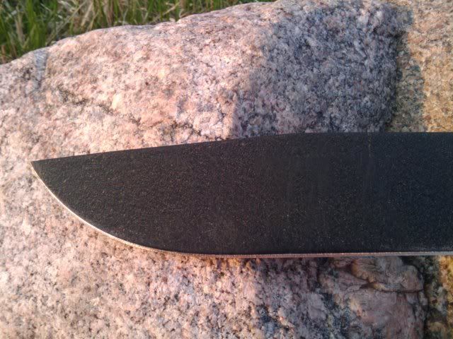 ce89c44a.jpg
