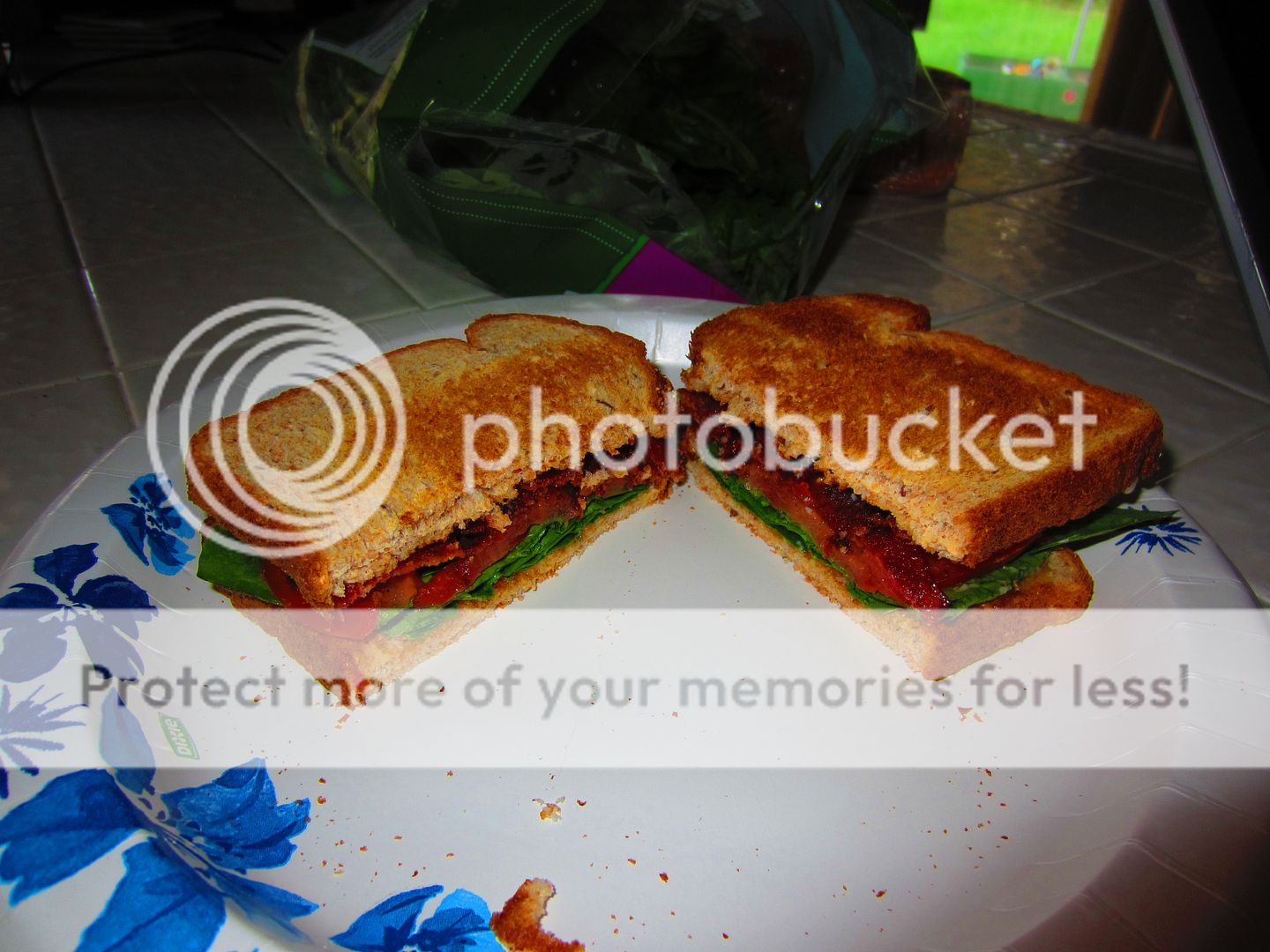 IMG_9078_zpse291f05e.jpg