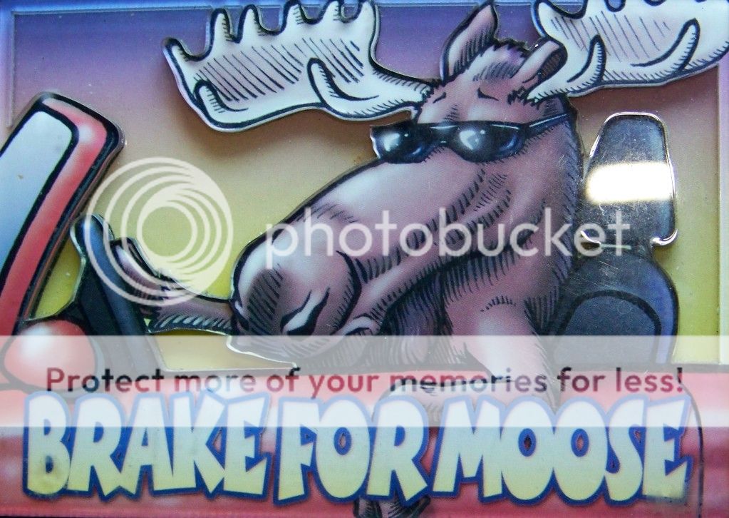 moosez.jpg