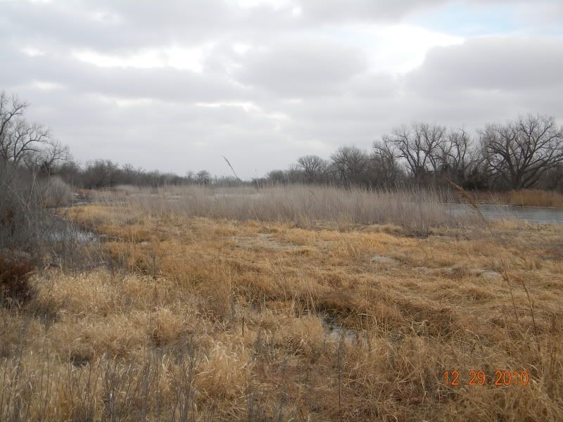 DSCN3222.jpg