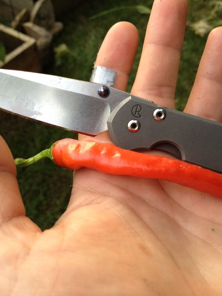 photo23.jpg