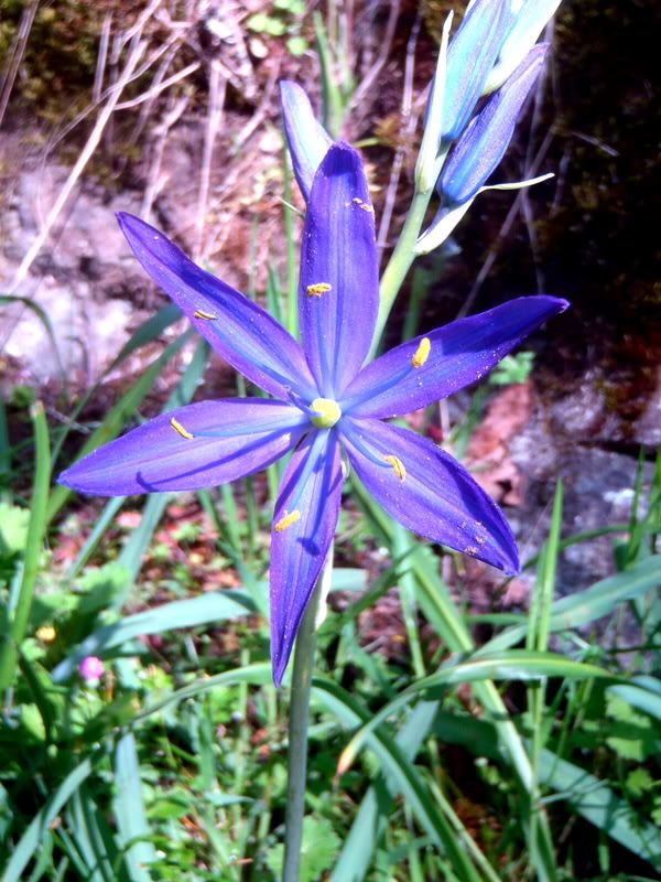 005-001-1.jpg