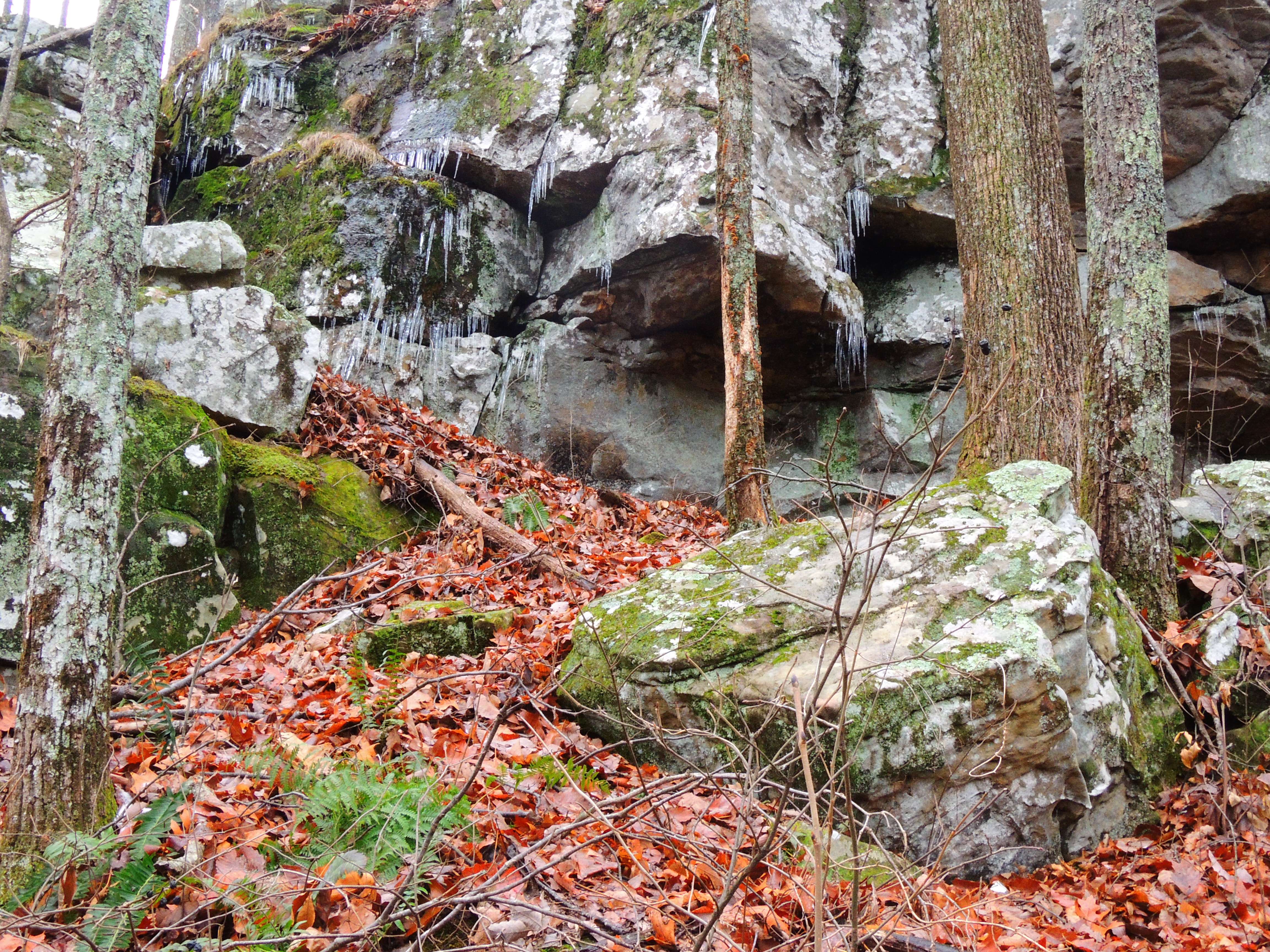 dscn5750a.jpg
