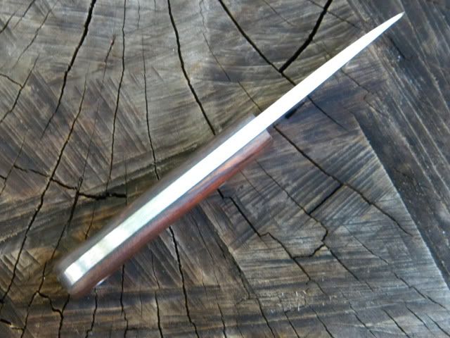 DSCN1520.jpg