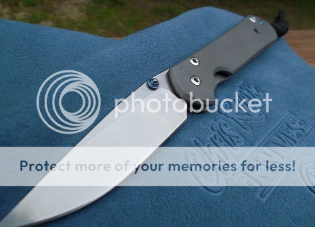rsz_sam_0649Medium.jpg