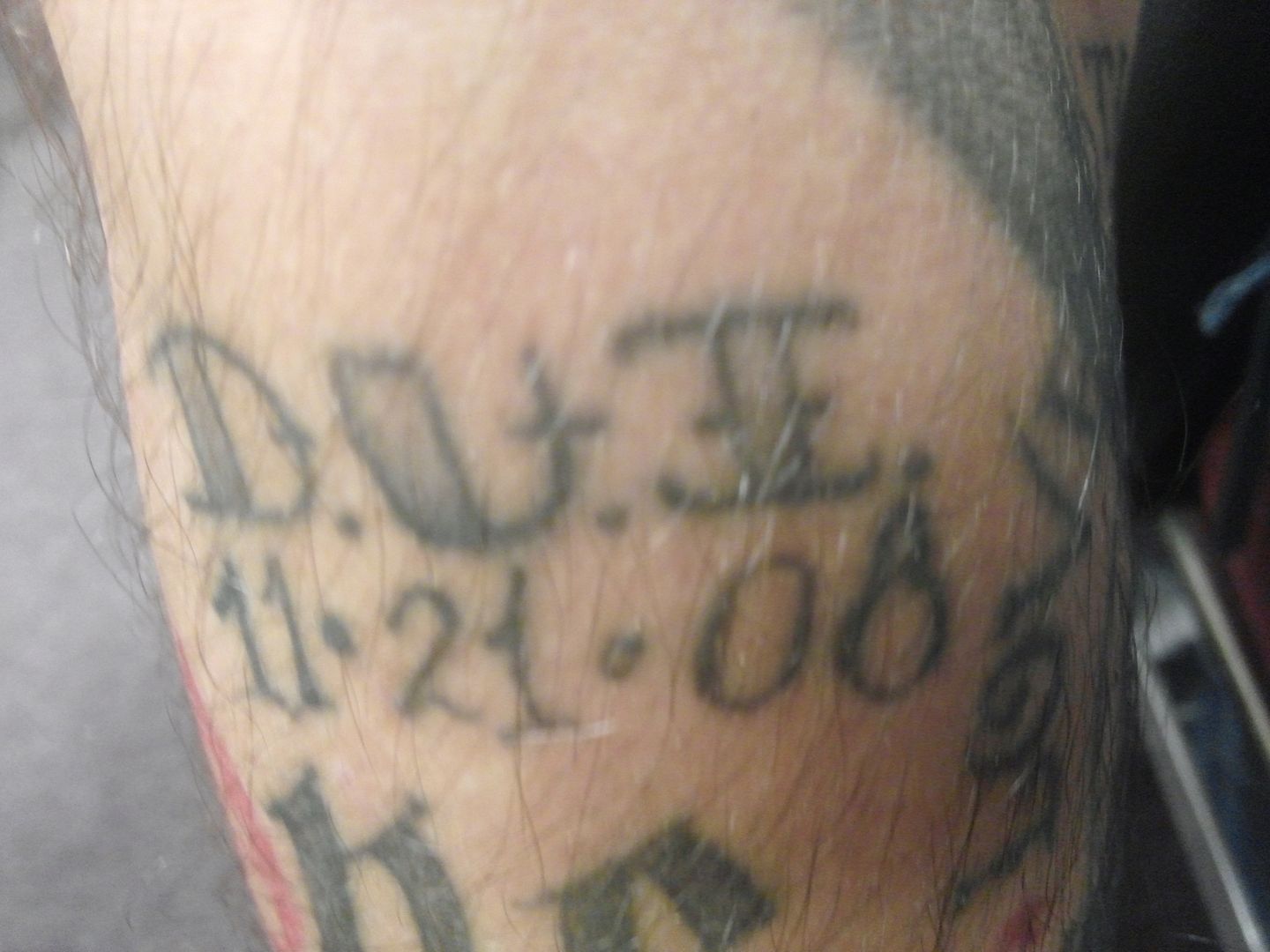 CAM00387_zps582a7717.jpg