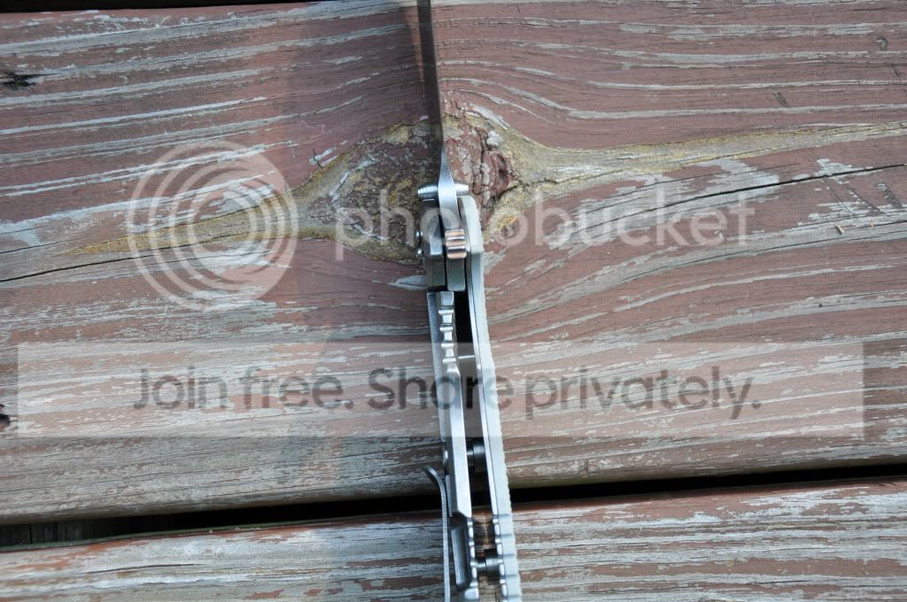 DSC_0905.jpg