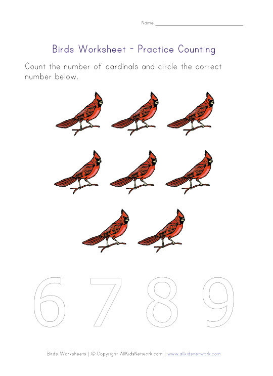 birds-number8.jpg