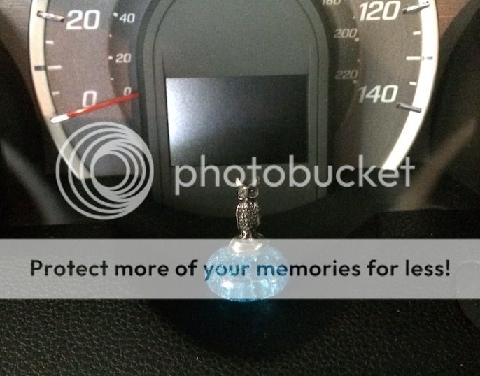 DashOwl.jpg~original