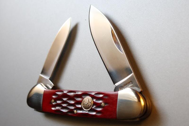 DPP_915.jpg