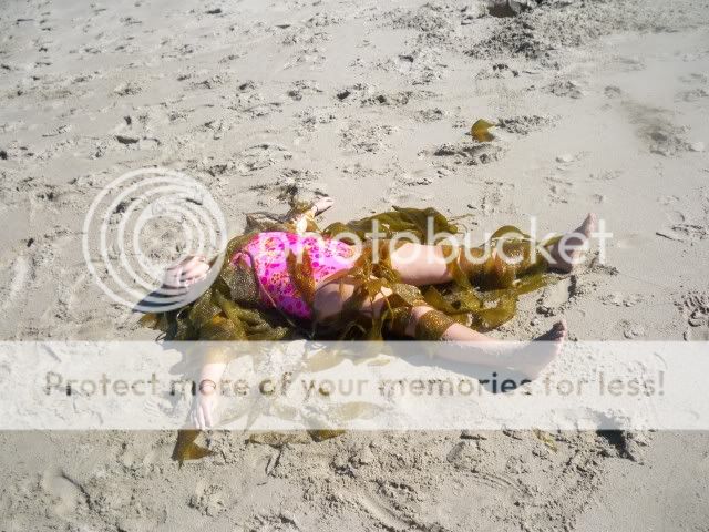 Flesheatingseaweed.jpg