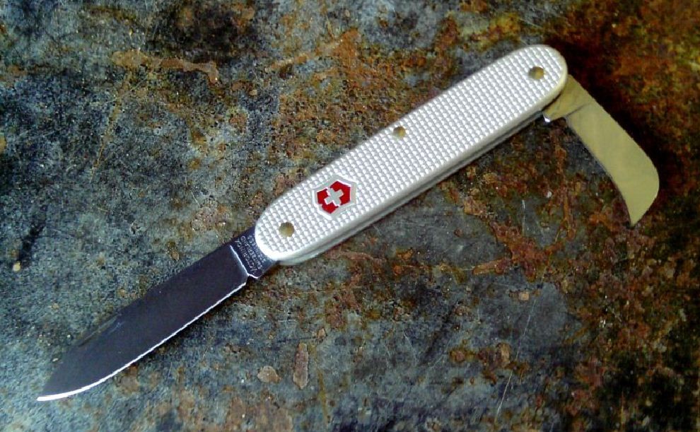 Lostintheshufflepruner_zps9a255ac4.jpg