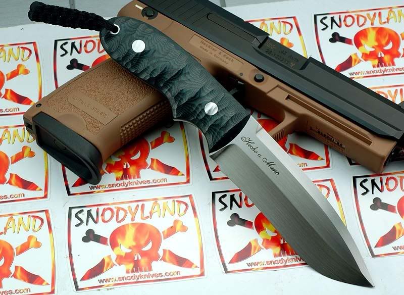 avirtualshowmodel1greenback.jpg
