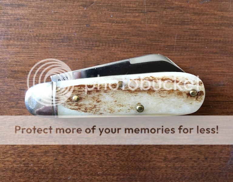 IMG_6369.jpg~original