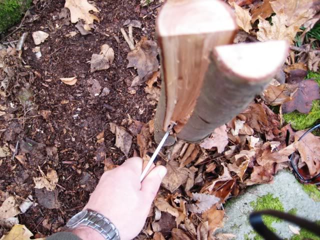 fallhike018.jpg