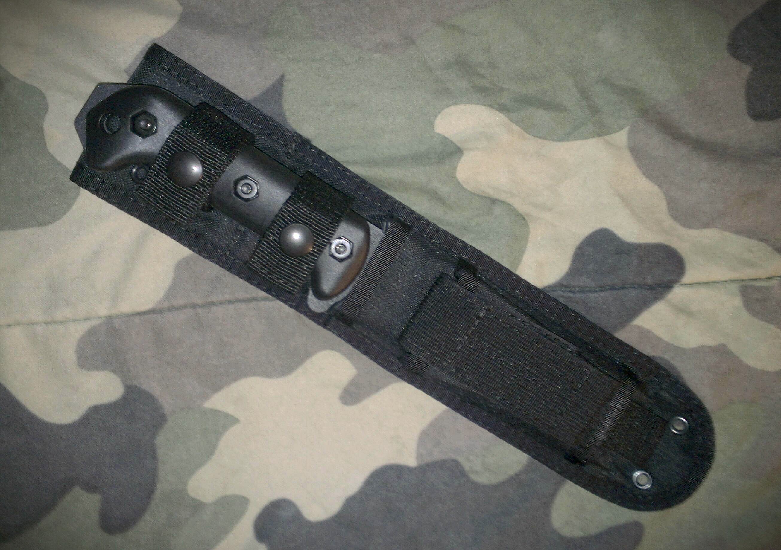 PAqV79n.jpg