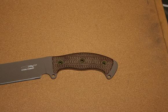 busse003.jpg