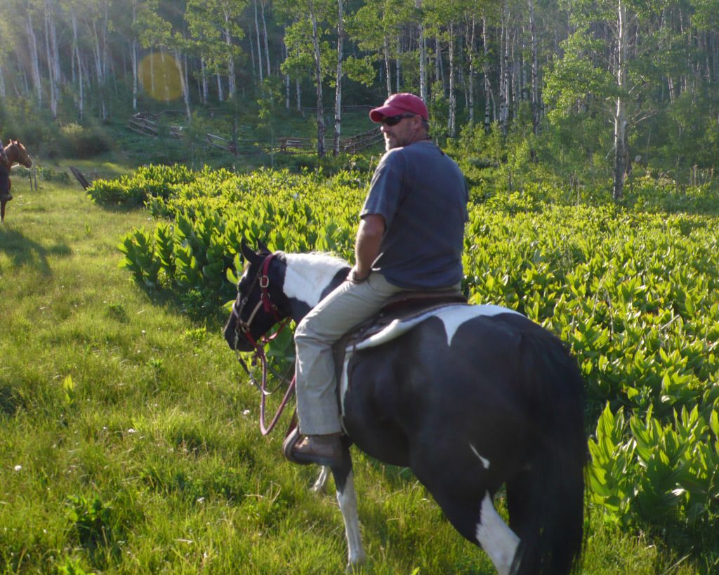 L1040230RyHorse.jpg