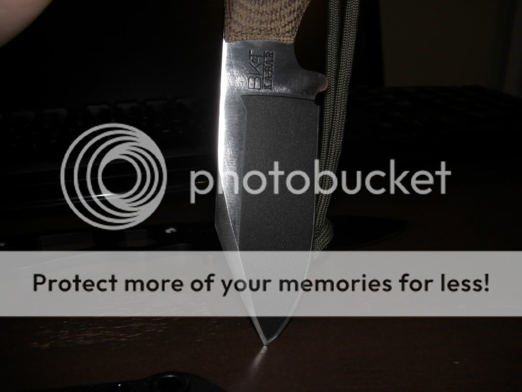 bk7-11033.jpg