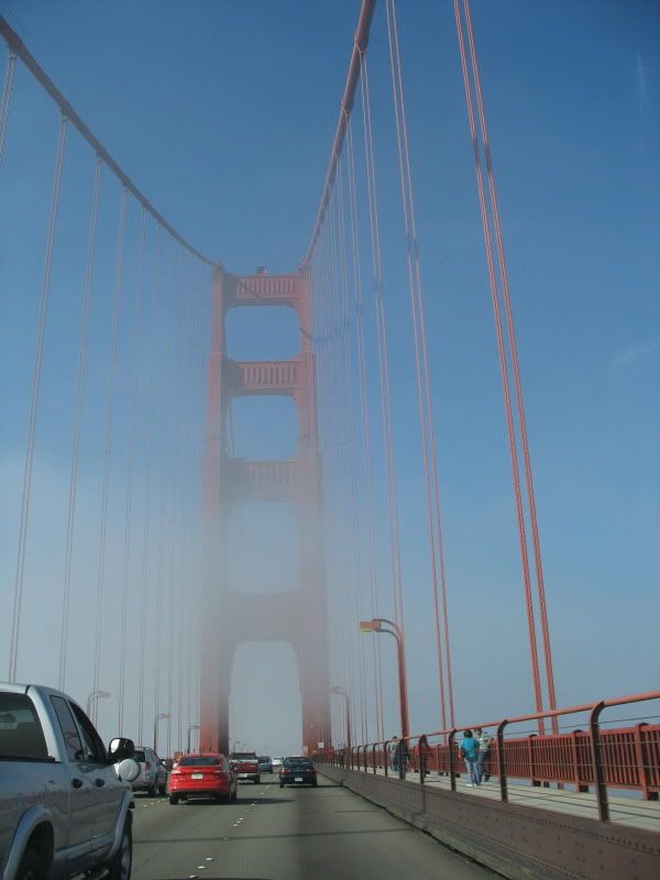 IMG_0680.jpg