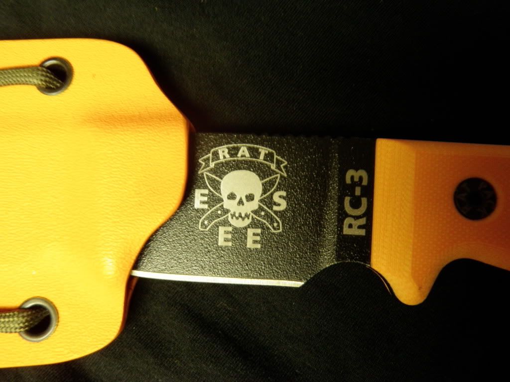 PC030043.jpg