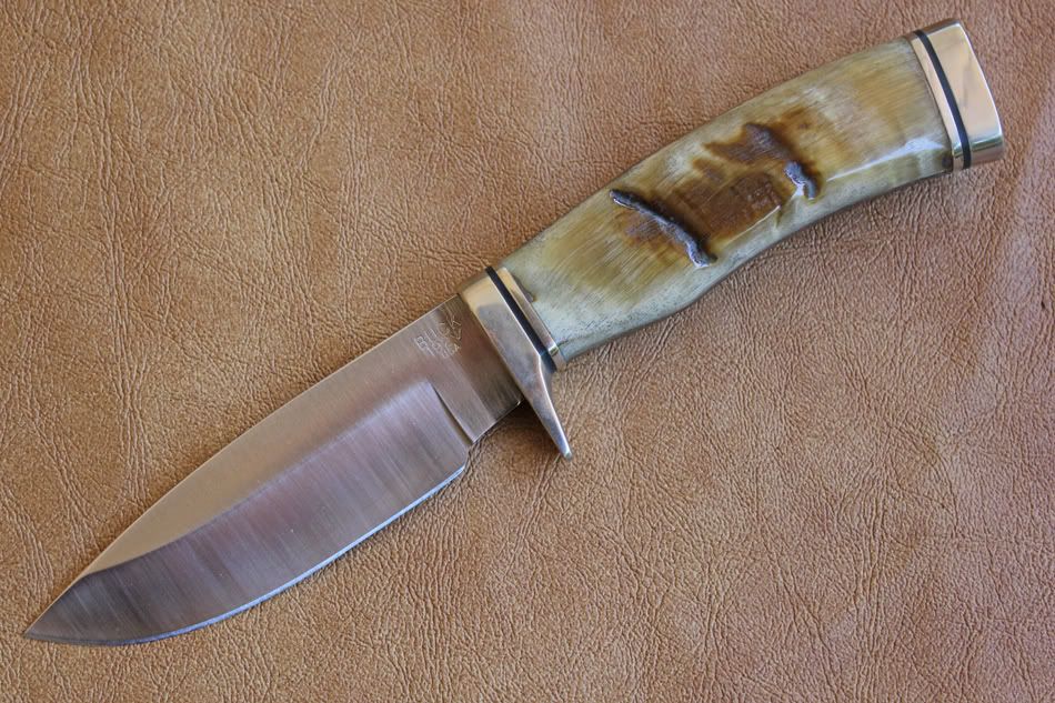 RamsHornVanguarda.jpg