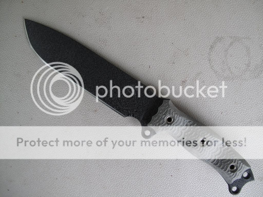 IMG_5587_zps2f8c9049.jpg