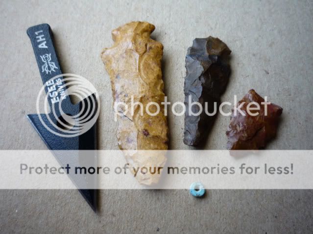 arrowhead003-1-1.jpg