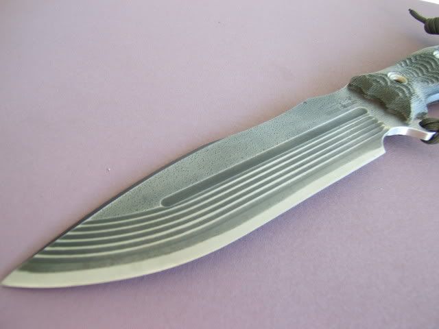 DSCF8798.jpg