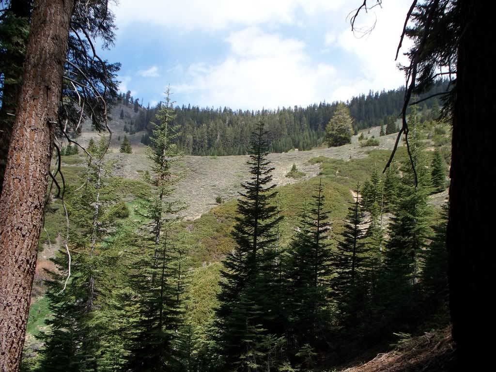 100_0078.jpg