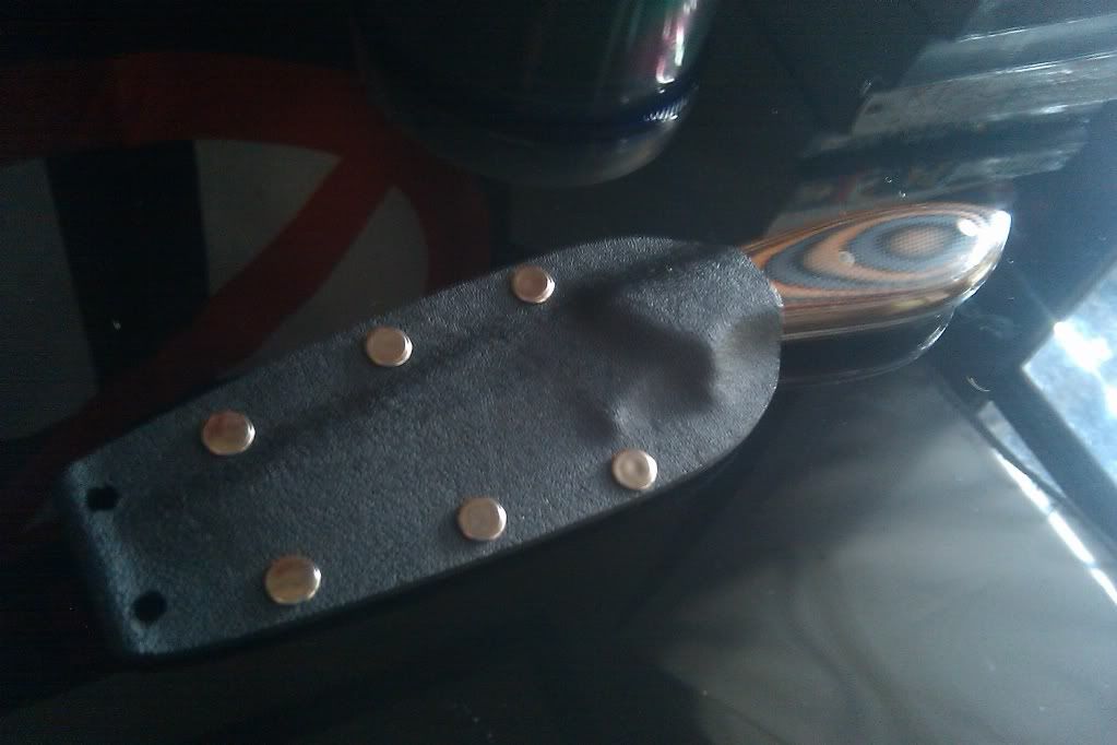 IMAG0267.jpg