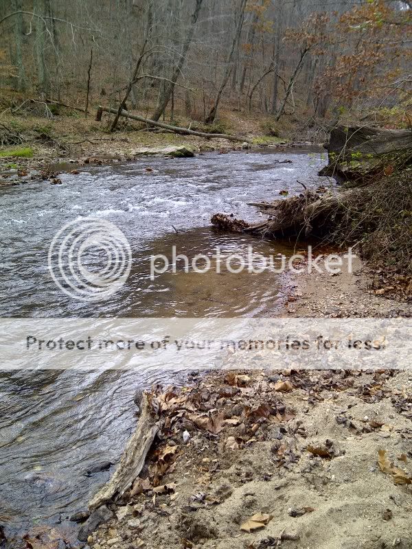District4Marshall-20111114-00425.jpg