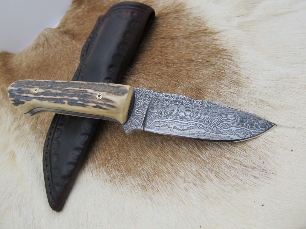 Stagdamascusloveless009.jpg
