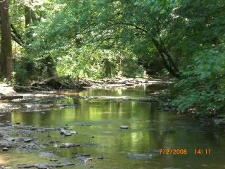 AprilsSummerVacation054.jpg