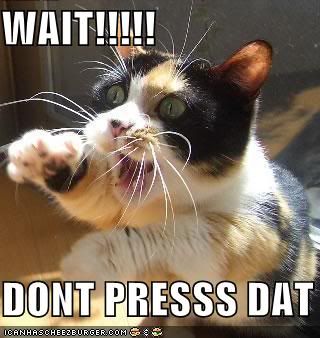 funny-pictures-cat-asks-you-to-not-.jpg