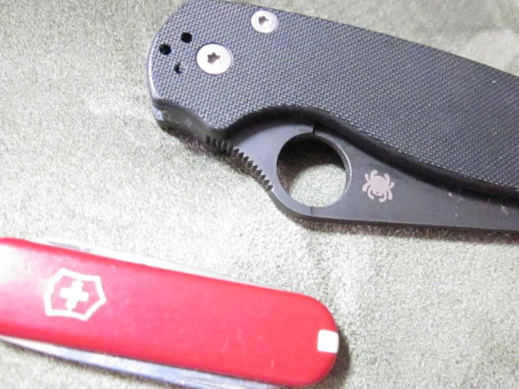 EDC11-29-12004.jpg