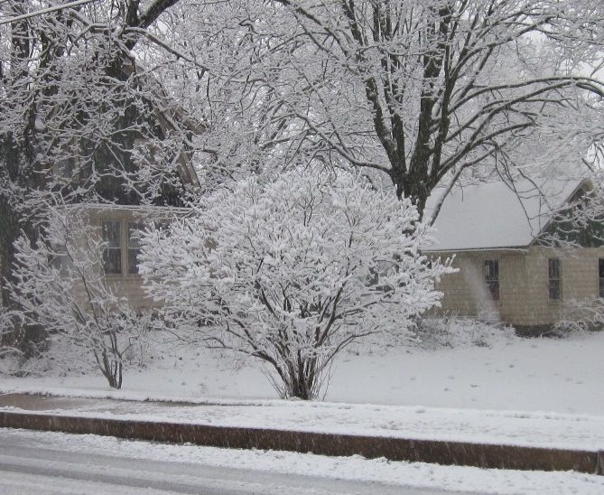 Sner_zps152184cd.jpg
