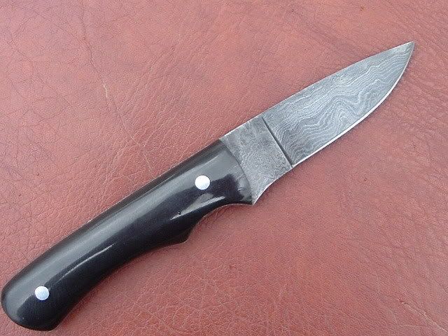 BuffaloEDC002.jpg