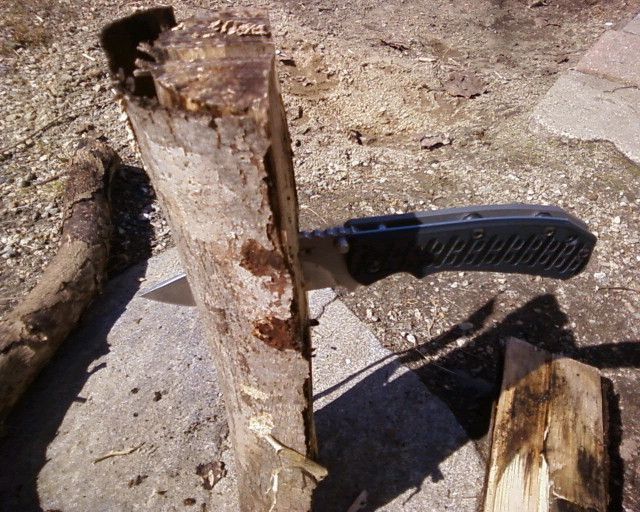 Photo-00081_zpsb40f6b56.jpg