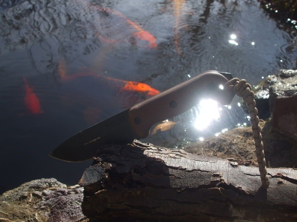 pondbeckerpics022.jpg