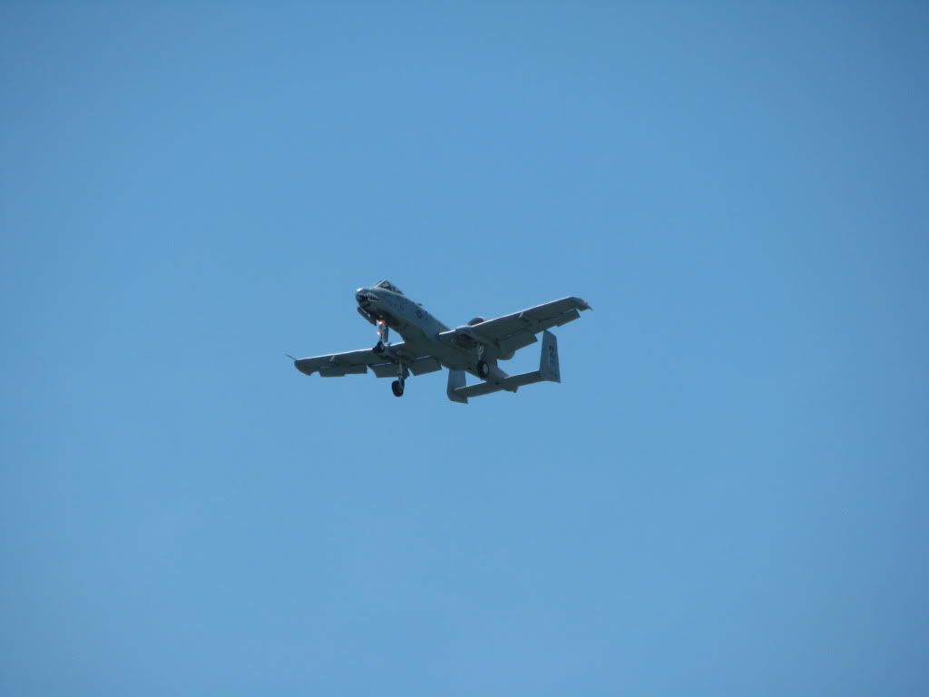 IMG_5411.jpg